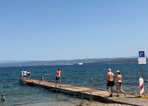 Slika članka