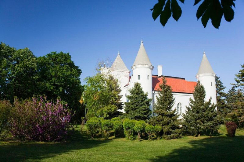 Slika članka