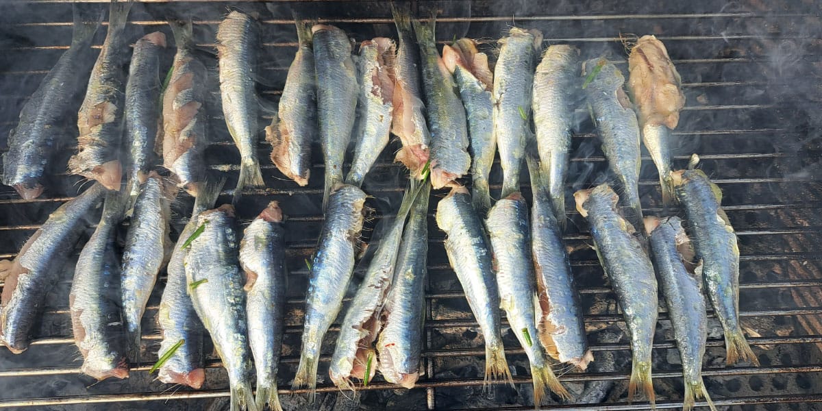 Slika članka