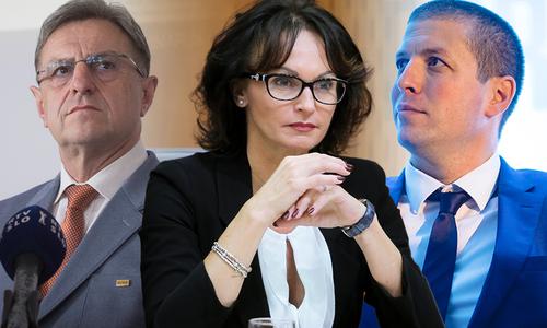 Slika članka