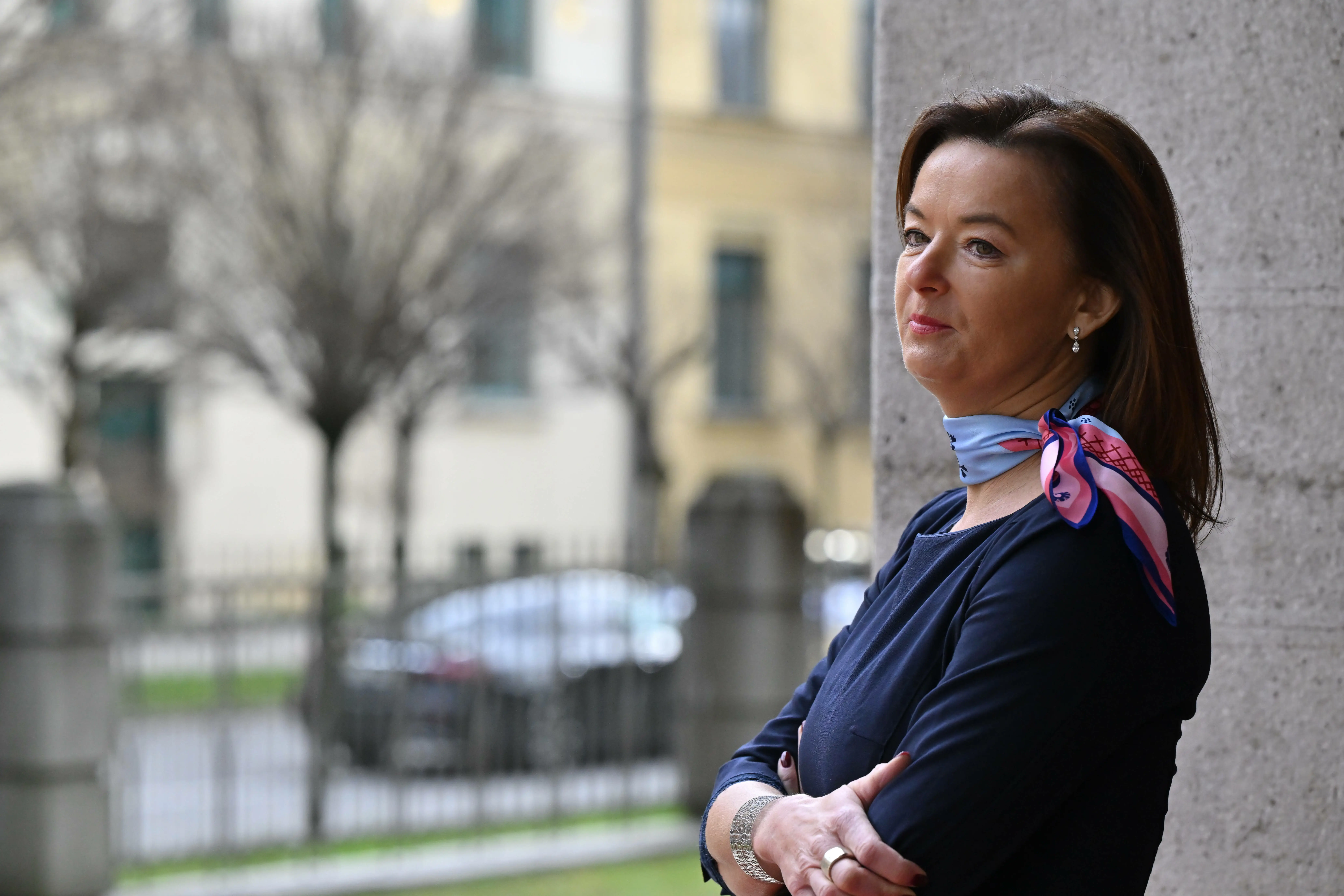 Slika članka