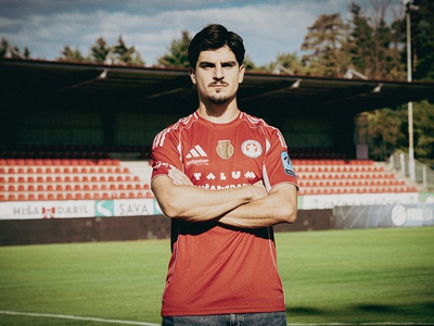 Slika članka