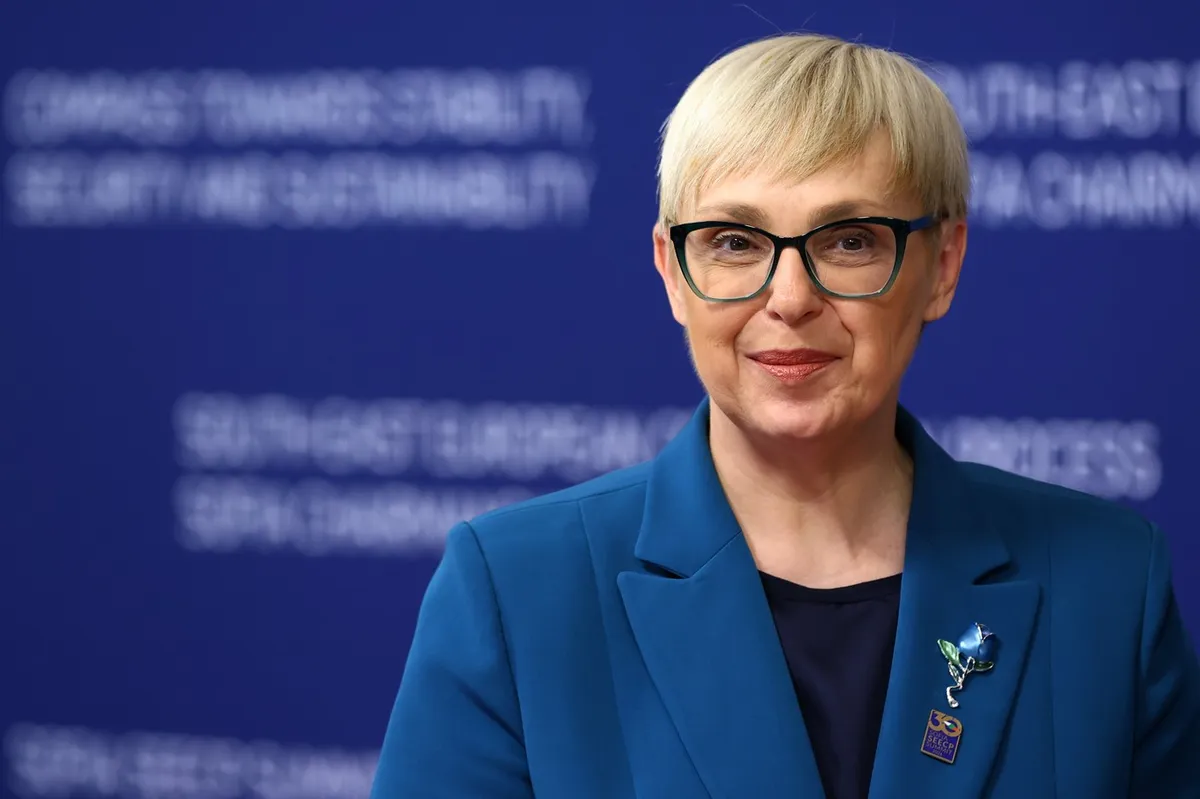 Slika članka