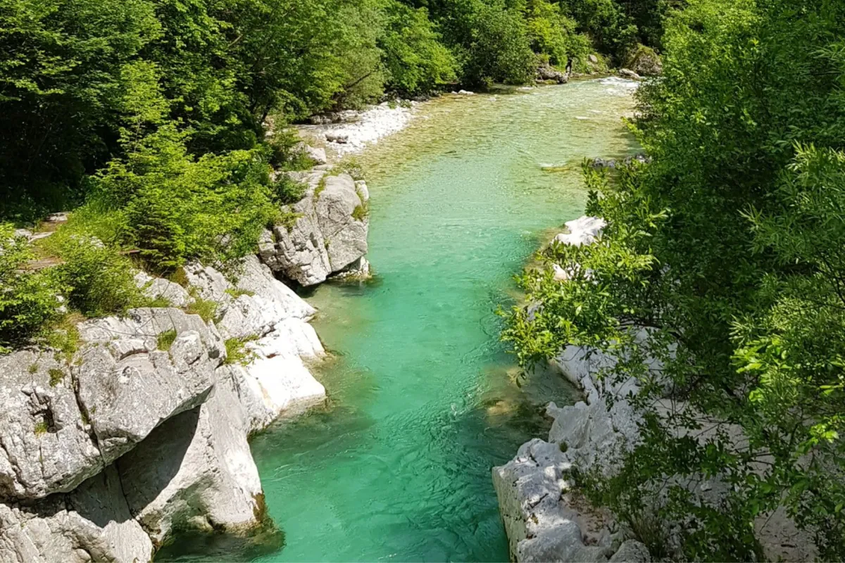 Slika članka