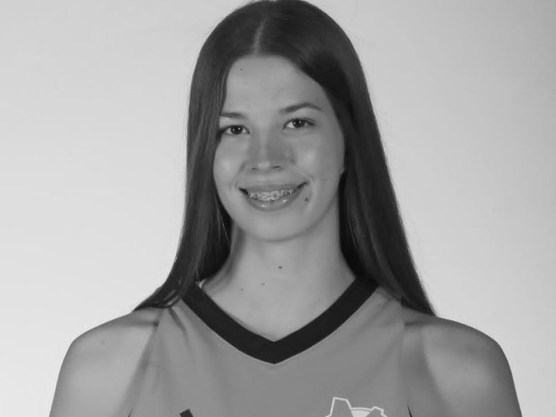 Slika članka