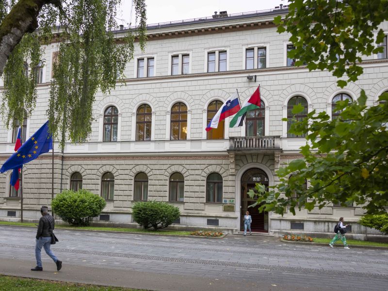 Slika članka