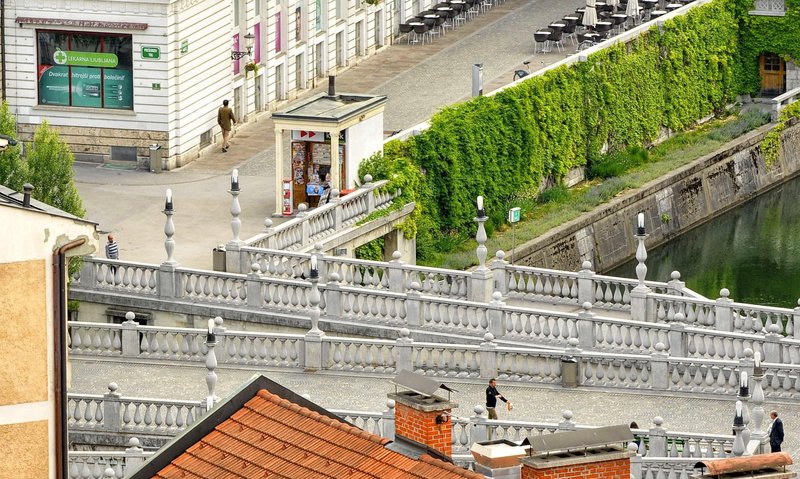 Slika članka