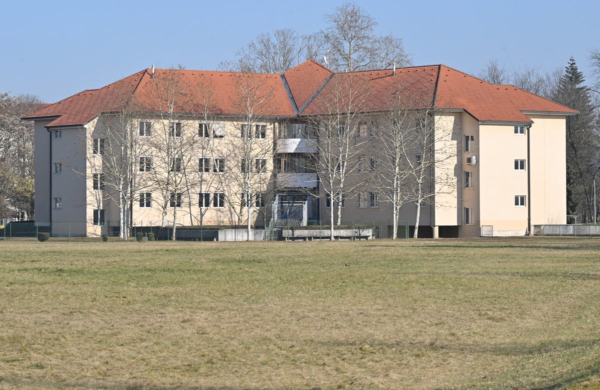 Slika članka