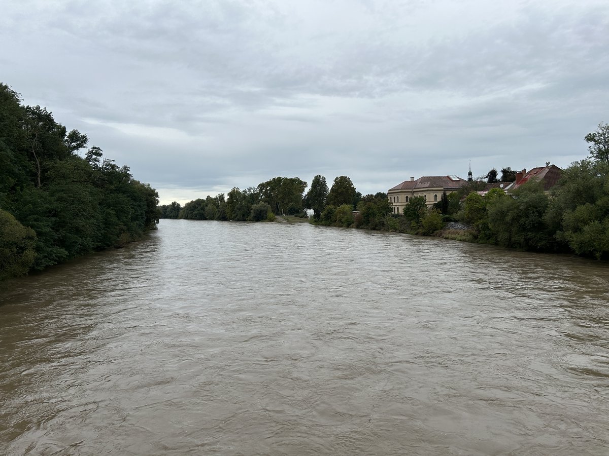 Slika članka
