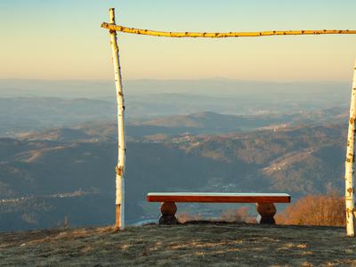 Slika članka