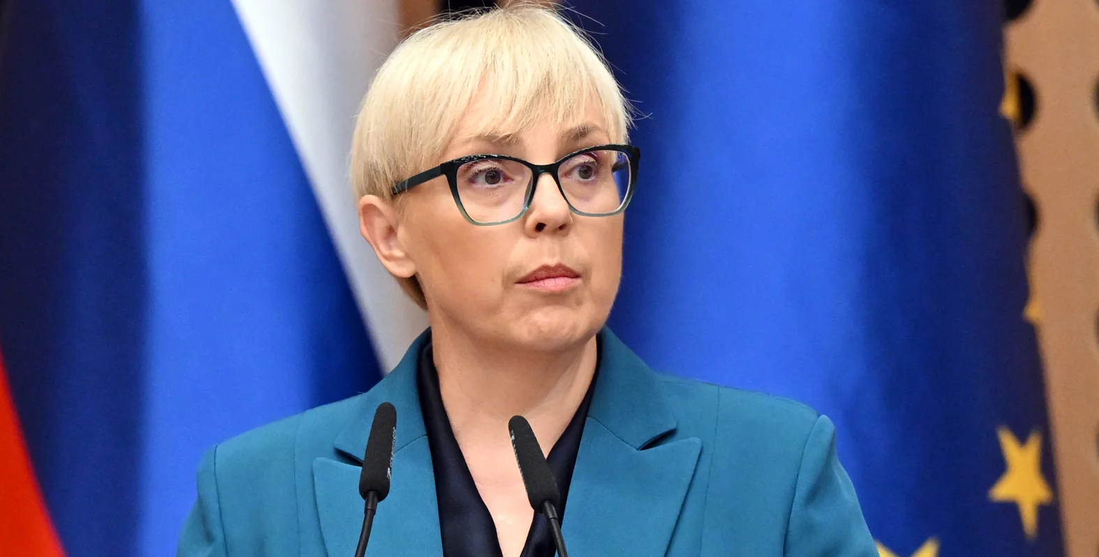 Slika članka