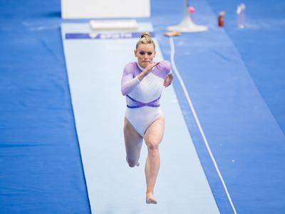 Slika članka