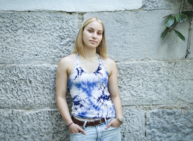 Slika članka