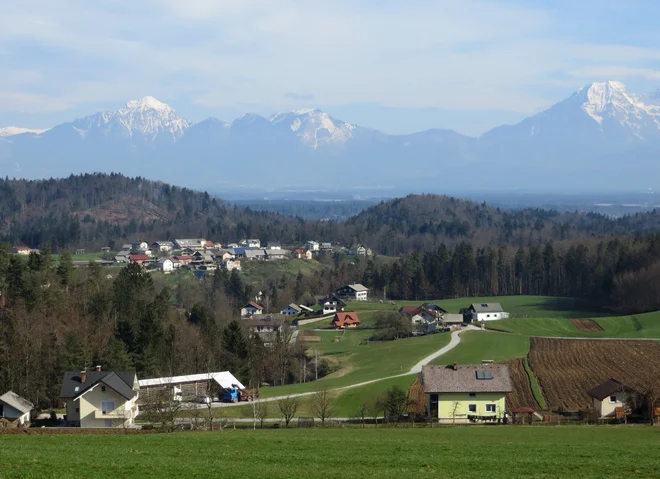 Slika članka