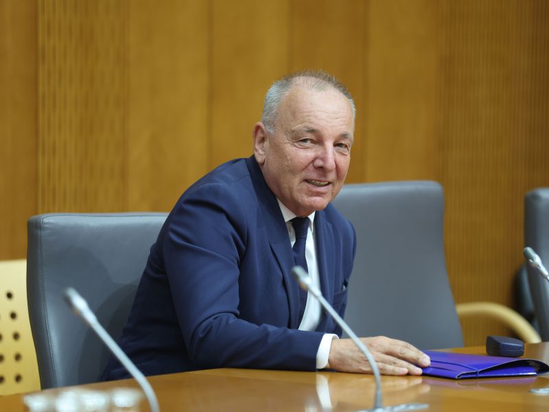 Slika članka