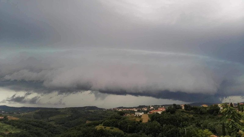 Slika članka