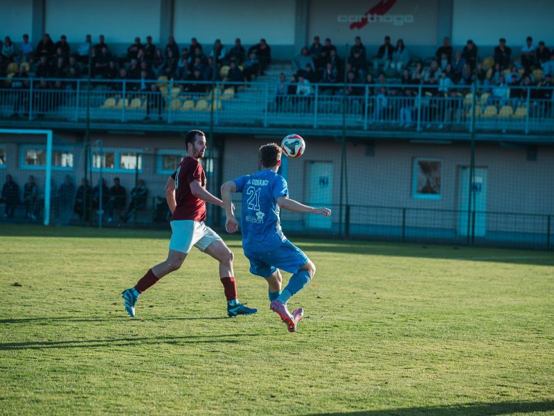 Slika članka