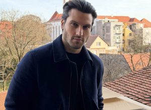 Slika članka