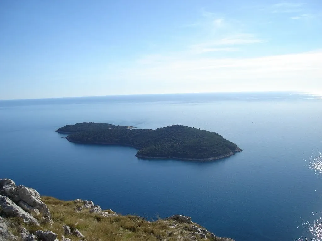 Slika članka