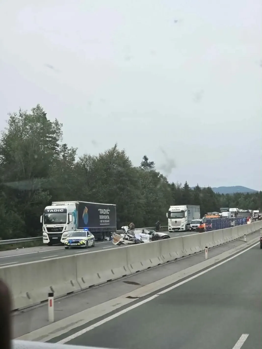 Slika članka