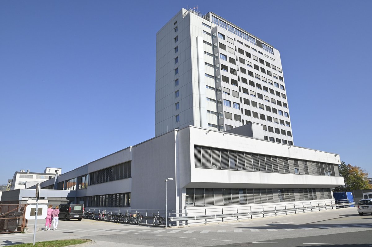 Slika članka