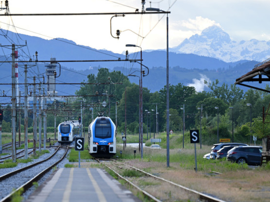 Slika članka
