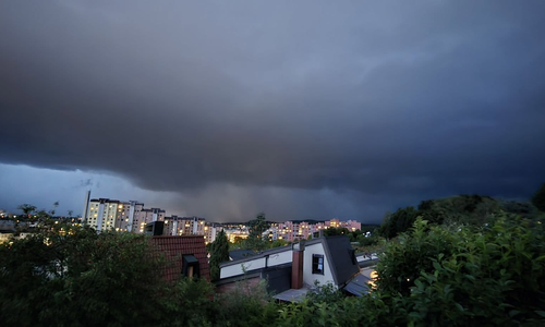 Slika članka