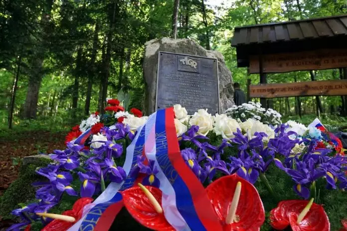 Slika članka