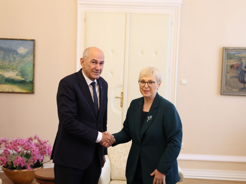 Slika članka