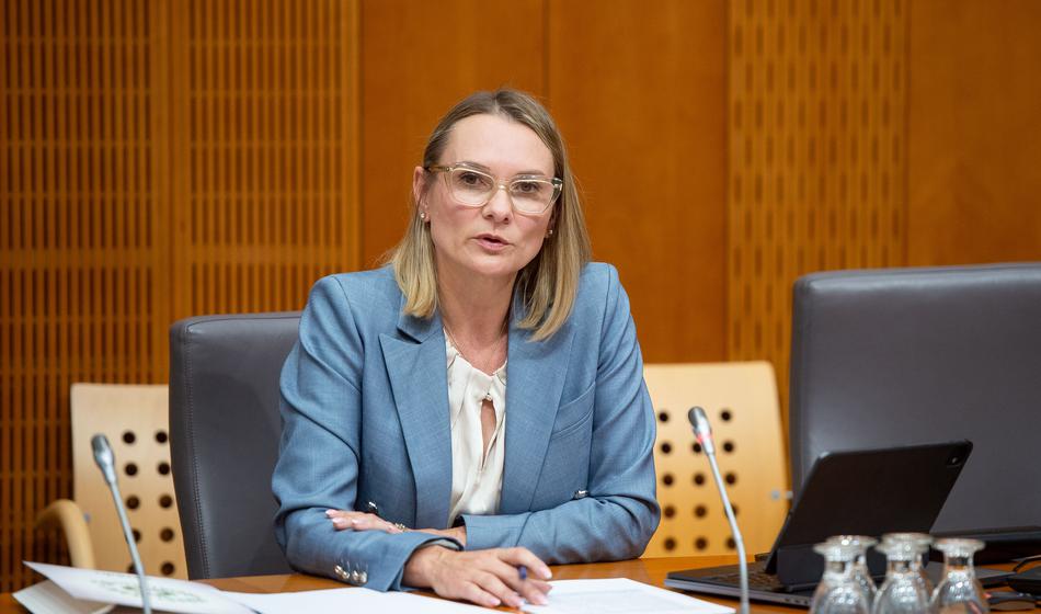 Slika članka