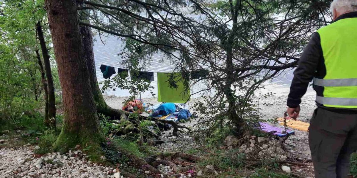 Slika članka