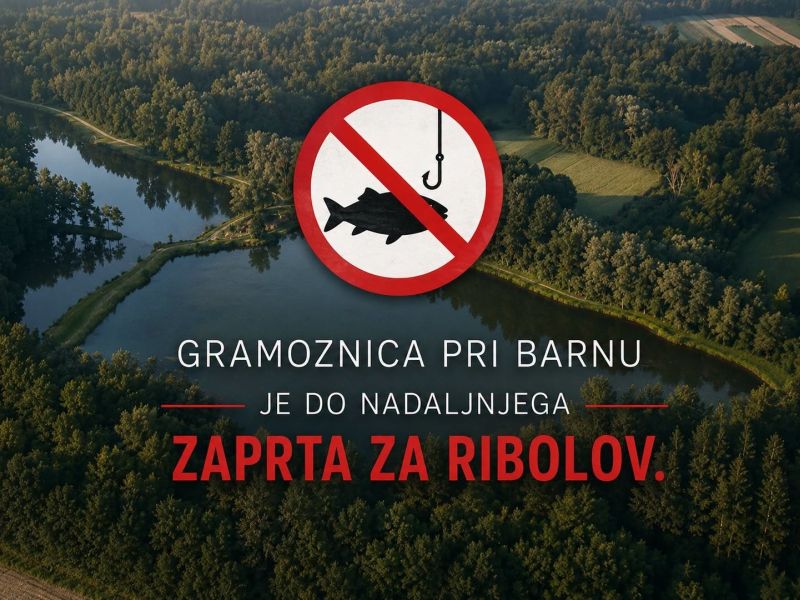 Slika članka