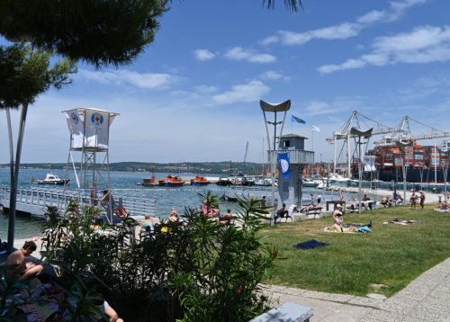 Slika članka