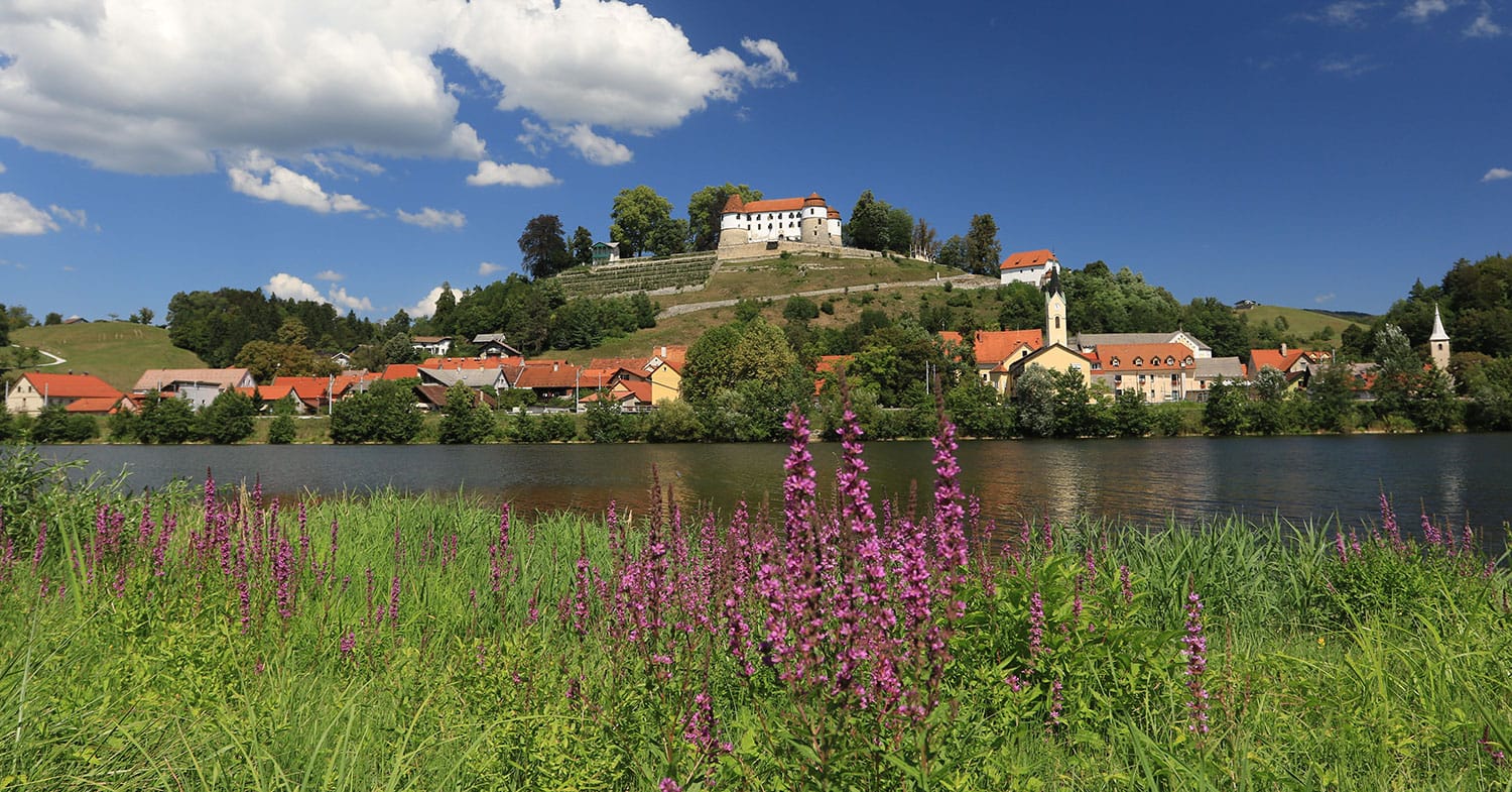Slika članka