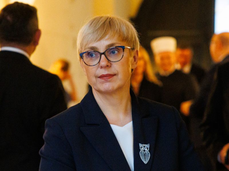 Slika članka