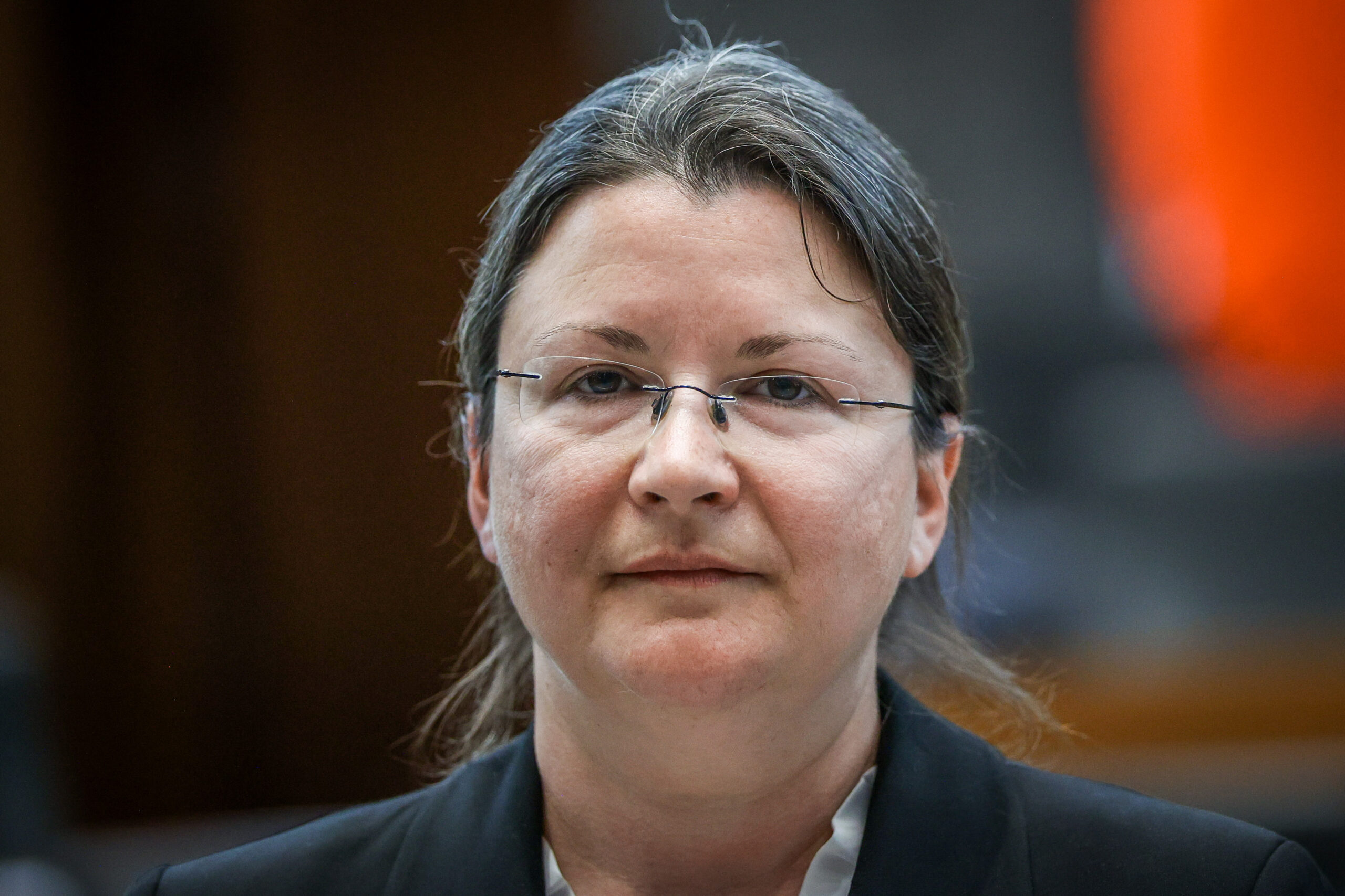 Slika članka