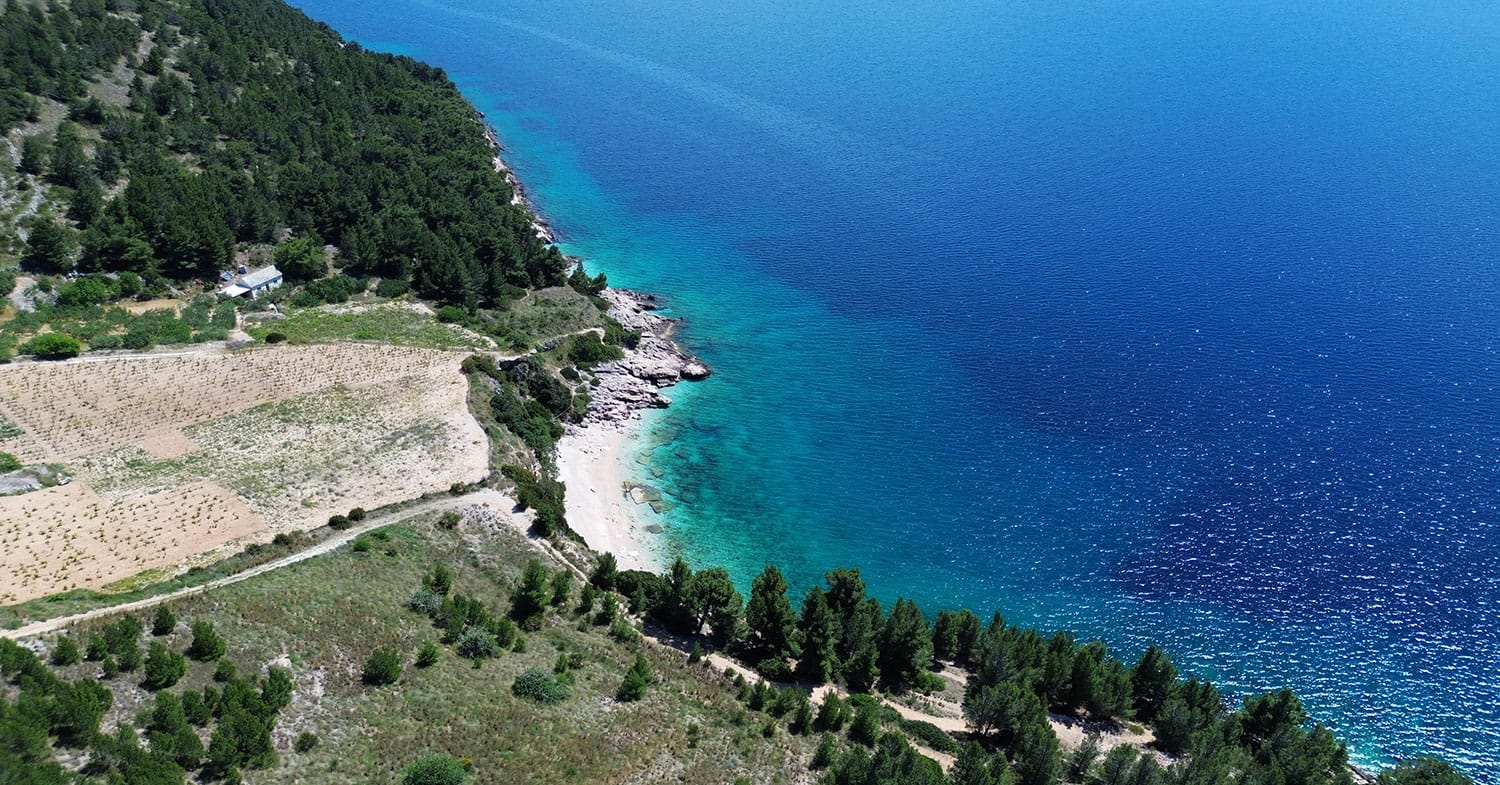 Slika članka