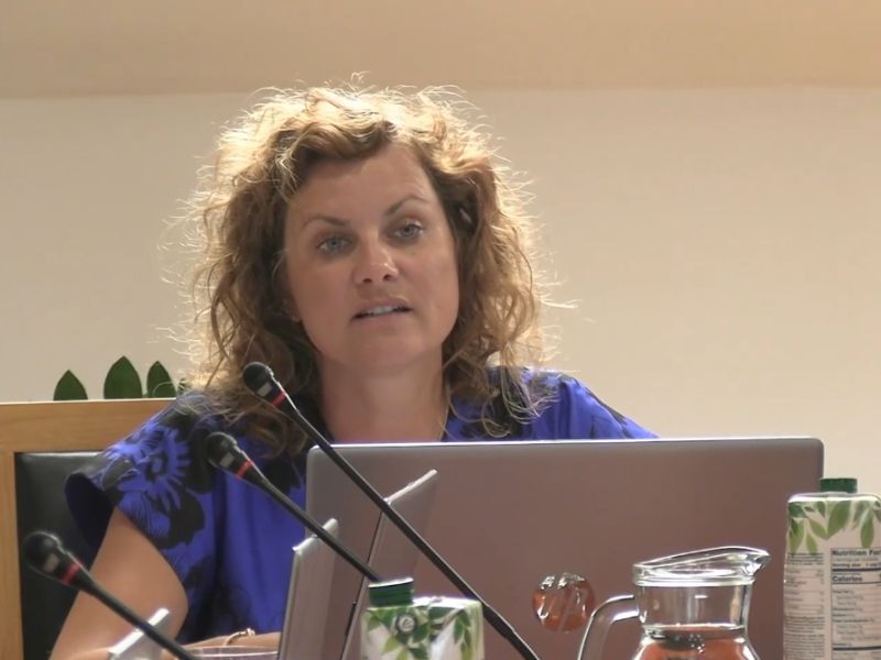 Slika članka