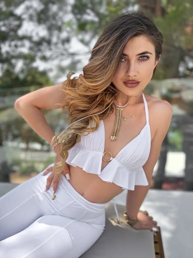 Slika članka