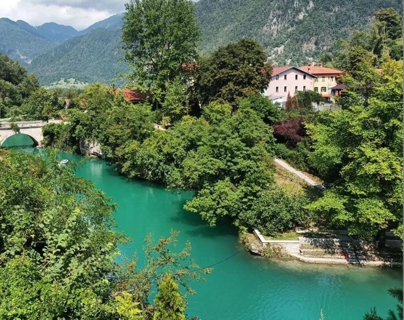 Slika članka