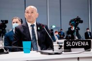 Slika članka