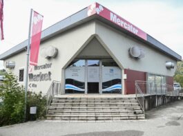 Slika članka
