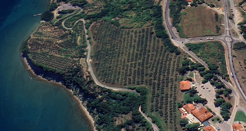 Slika članka