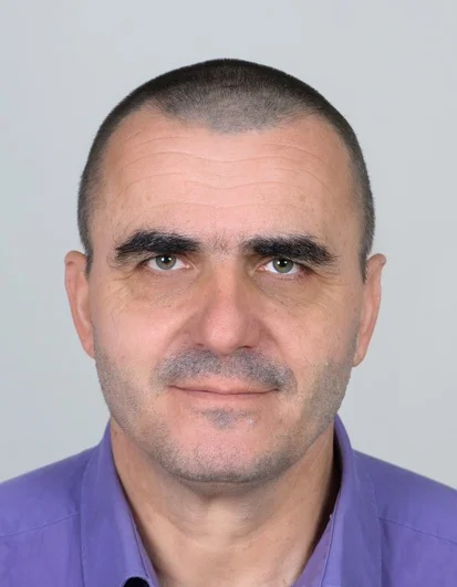 Slika članka