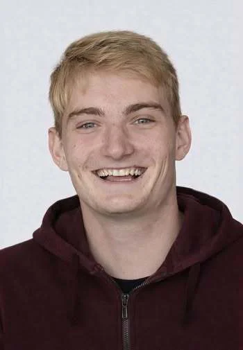 Slika članka