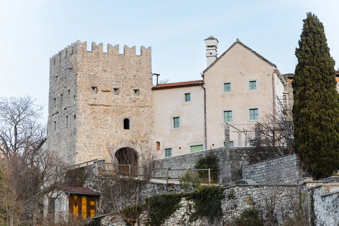 Slika članka