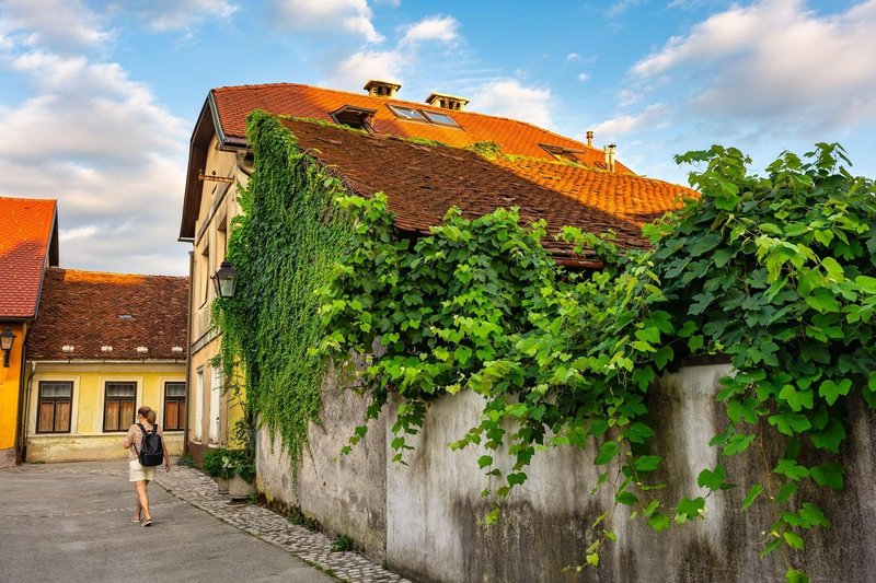Slika članka
