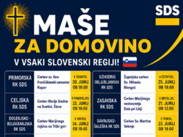 Slika članka
