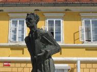 Slika članka