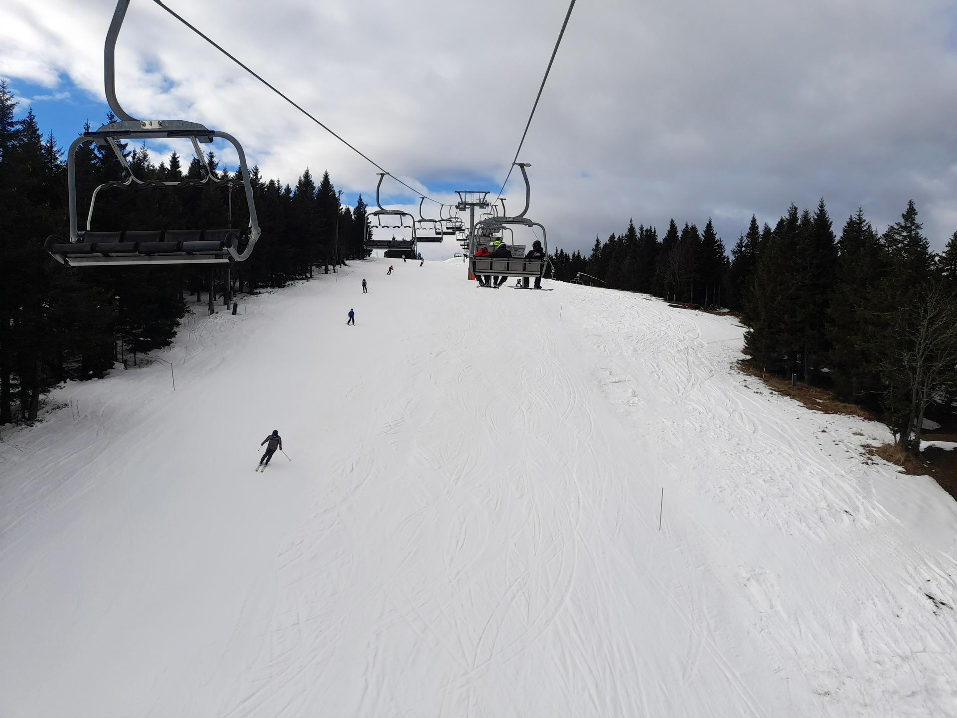 Slika članka